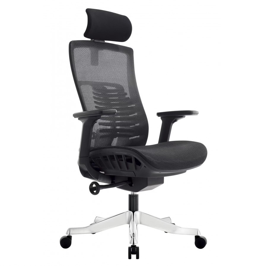 Ghế lưới lãnh đạo PTV827